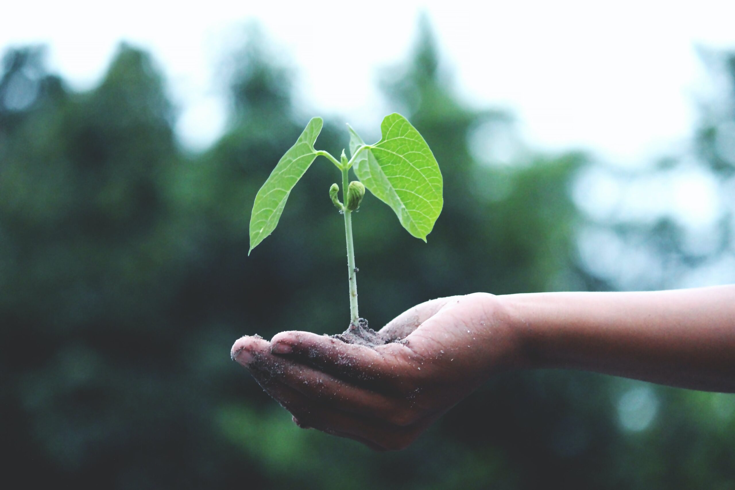 Sustainability 201