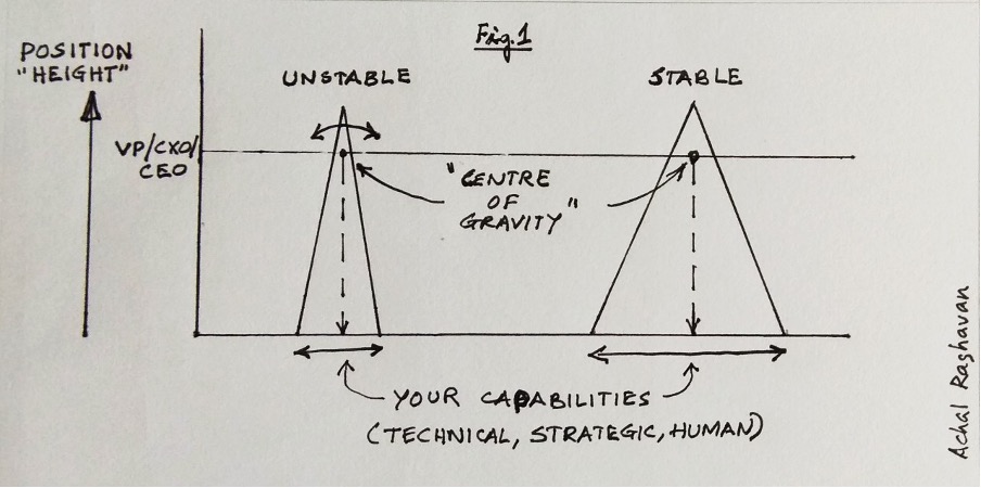Achal Raghavan’s Article Figure 01